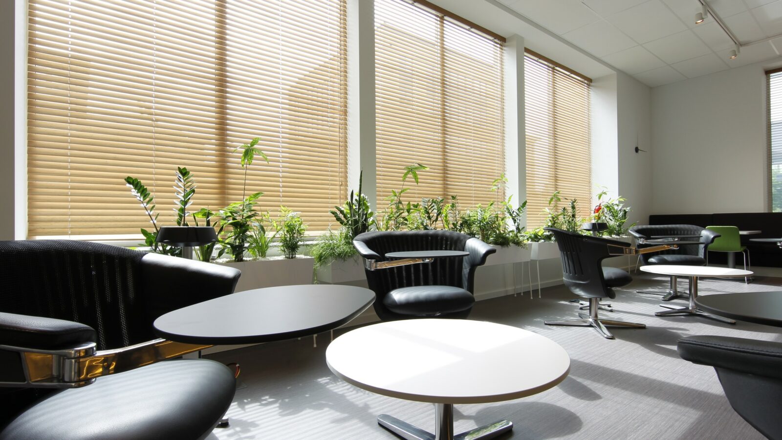 Reception area in Greenhouse Mechelen